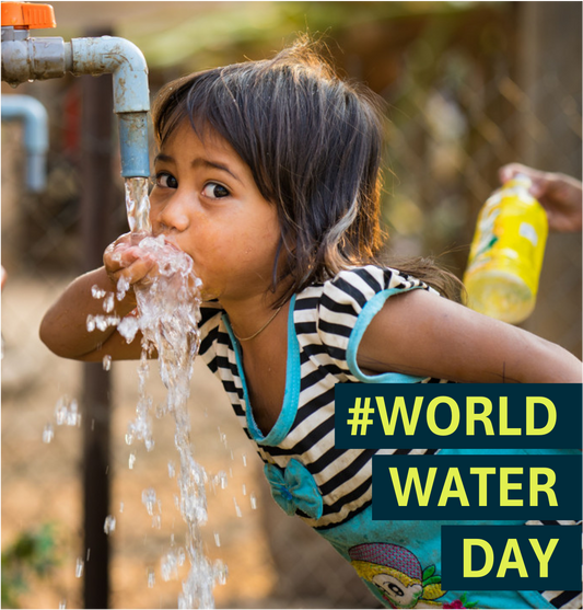 World Water Day 2025: Valuing Water for a Sustainable Future
