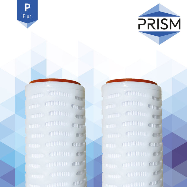 PLUS Pleated Filter Polypropylene 5¬µm 40" Regular (2.5") Silicone Gaskets 